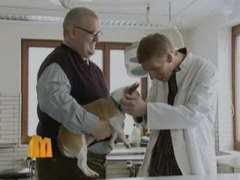 Folge 1