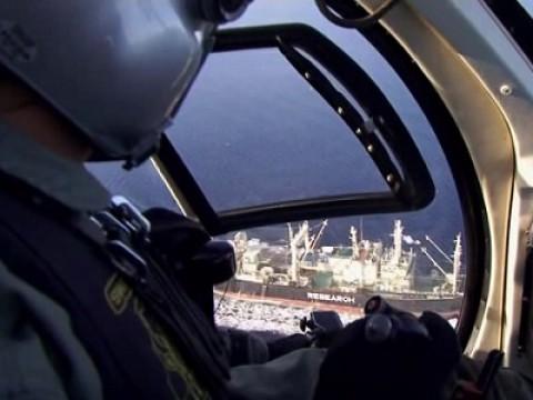 Jagd auf die Nisshin Maru