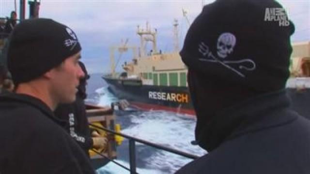 Schlacht im Eismeer