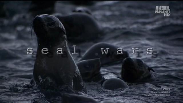 Seal Wars