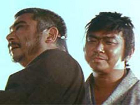 A Bird Lands On Ichi