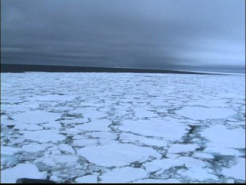 Verdensrekord i det Arktiske hav