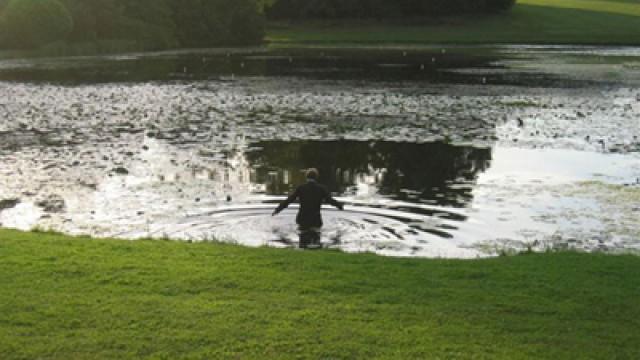Abroad Again: Stowe: Reading A Garden