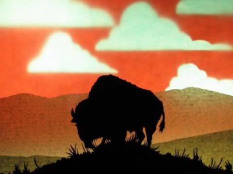 Facing the Storm: Story of the American Bison