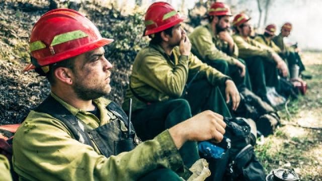 Wildland