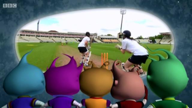 Cricket