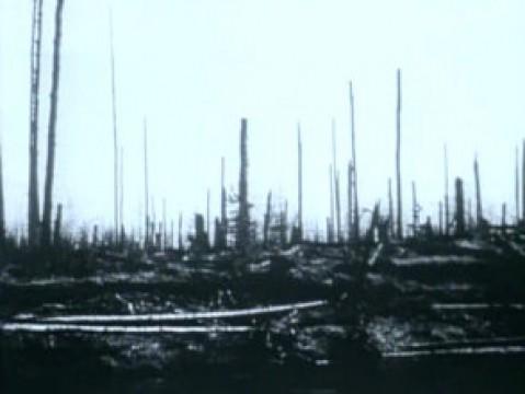 The Great Siberian Explosion