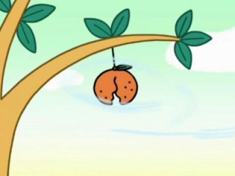 みかんどりの宝物
