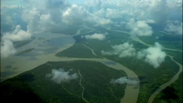 Mighty Amazon