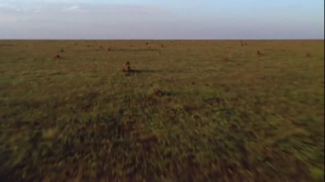 Great Plains