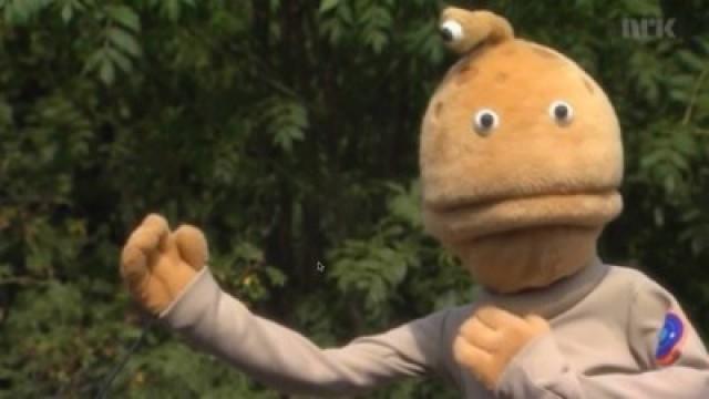 Miste hukommelsen