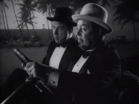 Der Tod ist ein schwarzes Kamel