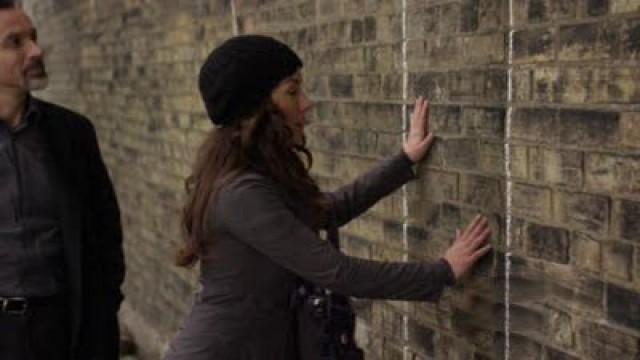 The Importance of Being Erica