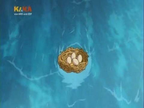 Saving the Nest