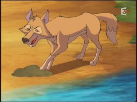 Hunting for Clay