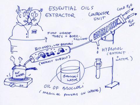 Food Essences