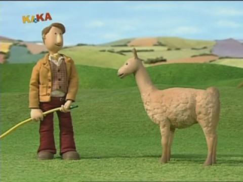 Das Drama mit dem Lama