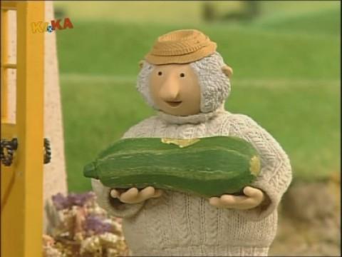 Im Zucchinifieber
