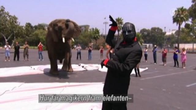 Trolla fram en elefant