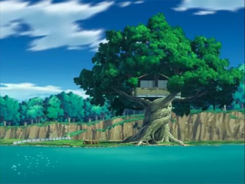 Everyone`s House