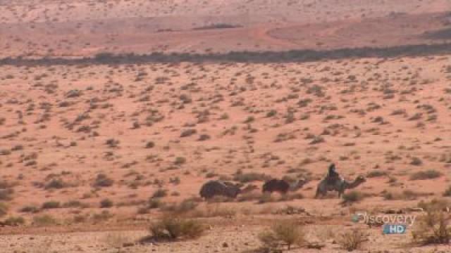 The Last of the Bedouins