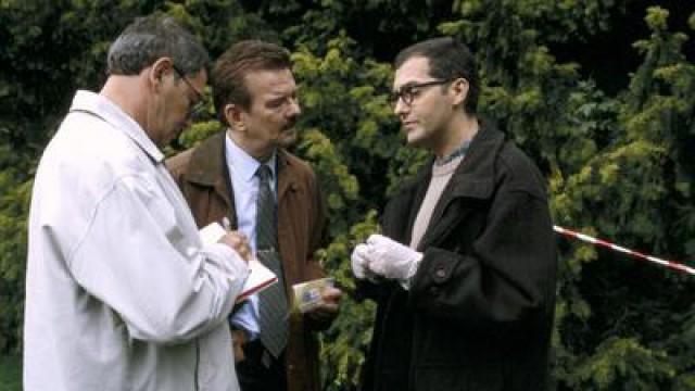 Aflevering 7
