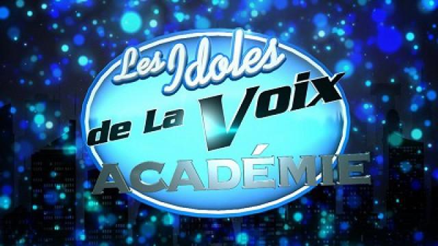 Les idoles de la voix académie