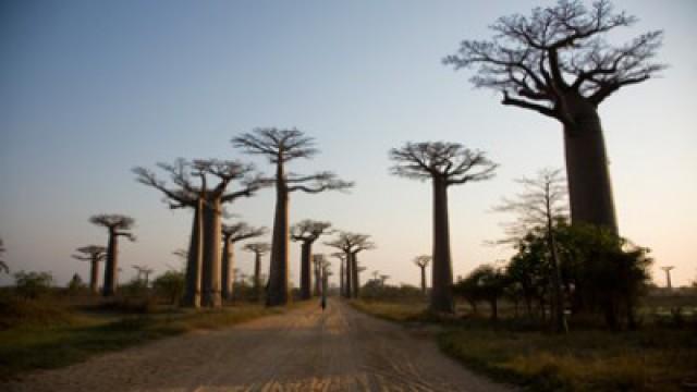 Madagascar