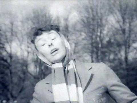 Joyce Grenfell