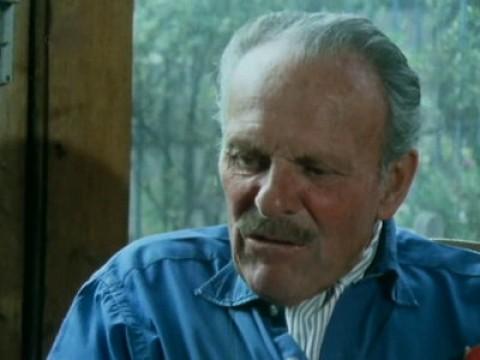 Terry Thomas