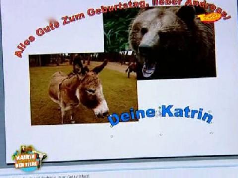 Bären