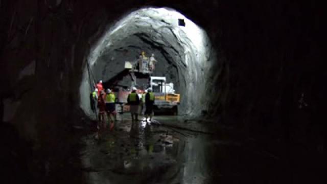 Underground Railways, Satellites, Fresh Flowers