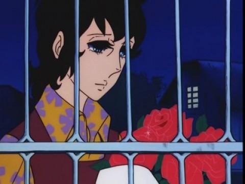 赤いバラの挑戦