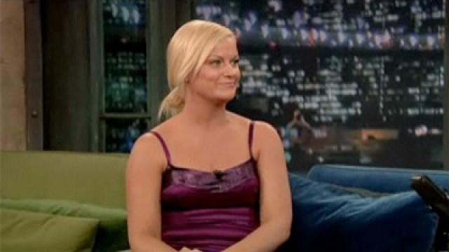 Amy Poehler, Diego Luna, Gael Garcia Bernal, The National