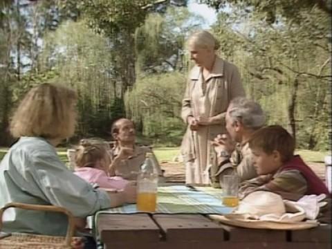 The Picnic