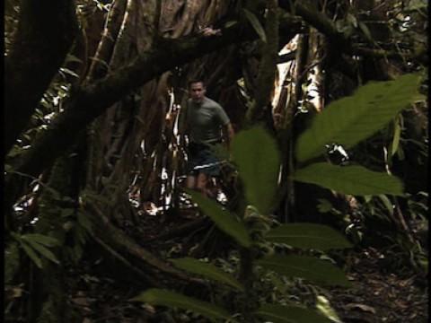 Borneo: A Wild Man in Borneo