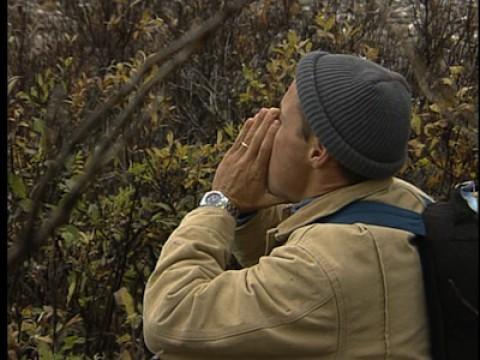 Alaska: Northern Exposure