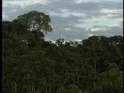 South America: Into the Heart of Darkness