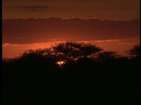 Africa: Into Africa