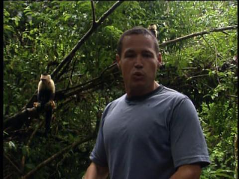 Costa Rica: The Arribiatta