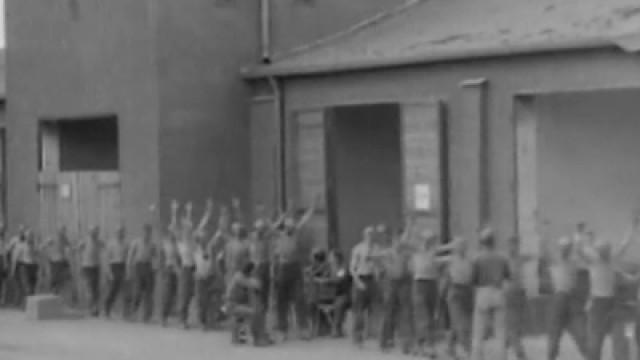 Auschwitz: The Nazis and the Final Solution - Liberation and Revenge