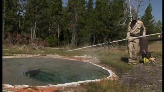 Geyser Gazers