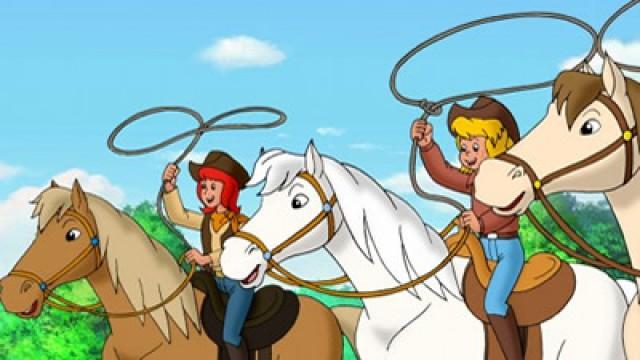 Das Westernturnier