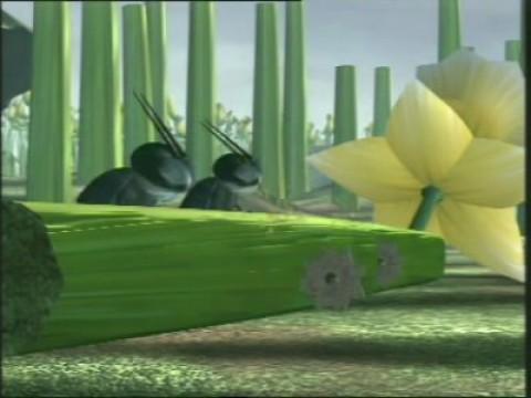 The Daffodil Collector