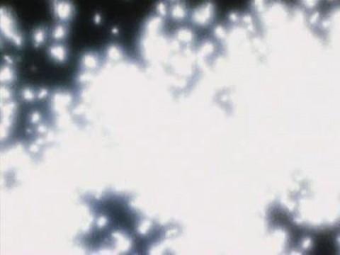 The Fog of Revenge
