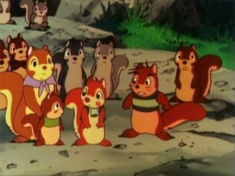 Bei Fuchs und Uhu