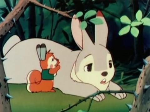 Wie aus einem Eichhörnchen ein Kaninchen wurde