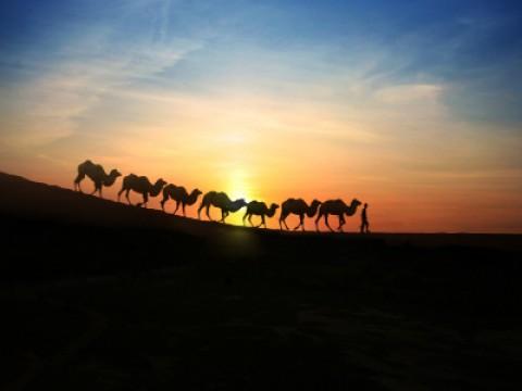 Across the Taklamakan Desert