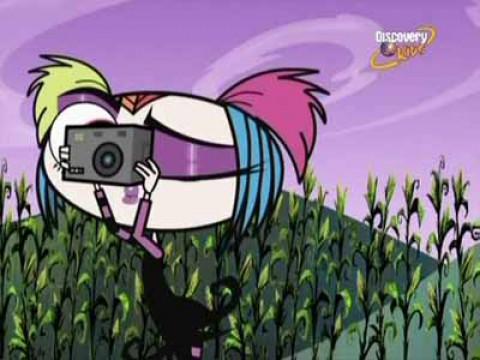 Creep of the Crop