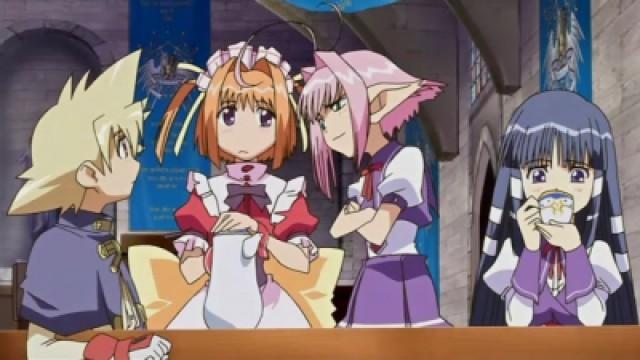 The Prides of Knights